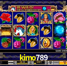 kimo789 Rio de Janeiro - Bonus Terms